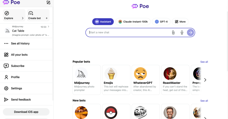 Poe AI Chatbot