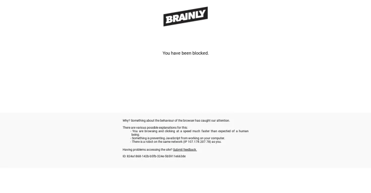 Brainly AI